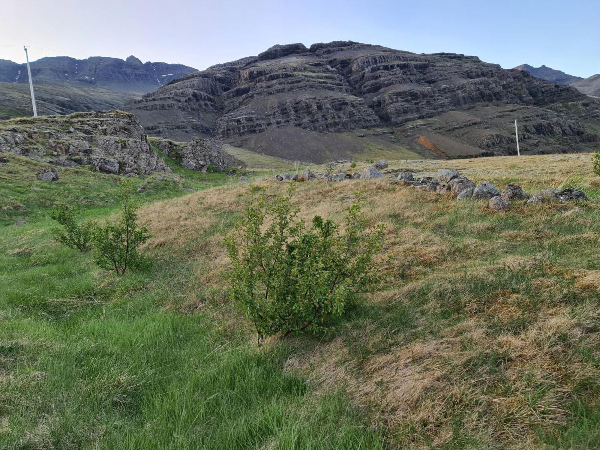 Geithellar Villa Djupivogur Exterior photo